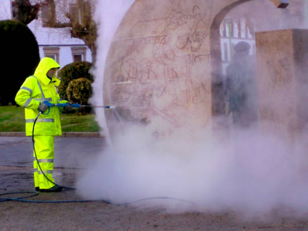 Best Roof Power Washing Services  in Rosita, TX